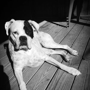 Meet your Posher, Cassi